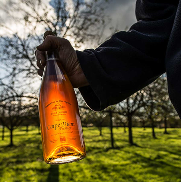 Cidre  brut Domaine de Kerveguen